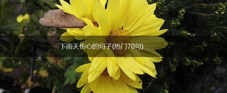 下雨天伤心的句子(热门70句),第1张