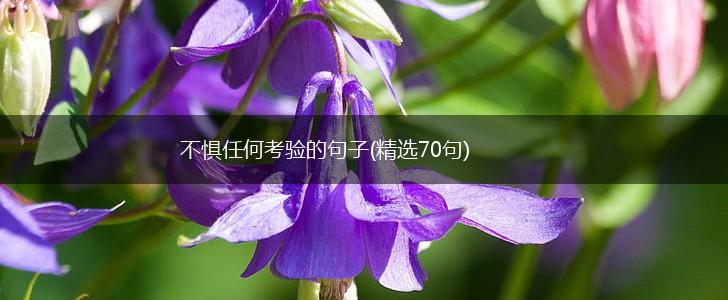 不惧任何考验的句子(精选70句),第1张