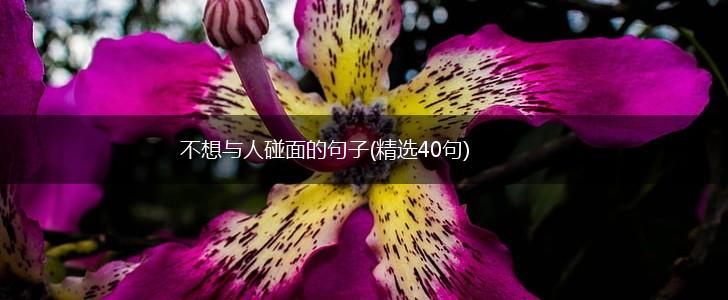 不想与人碰面的句子(精选40句),第1张