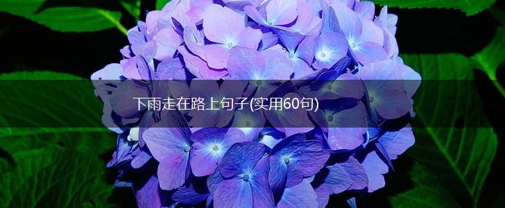 下雨走在路上句子(实用60句),第1张