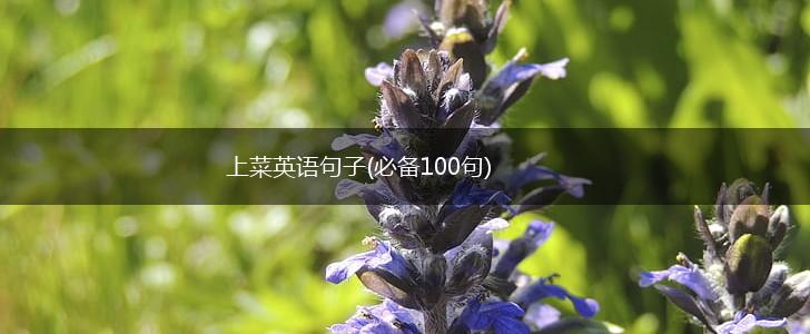 上菜英语句子(必备100句),第1张
