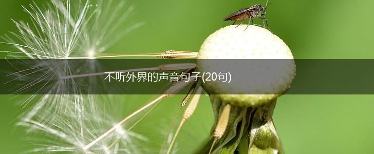 不听外界的声音句子(20句),第1张