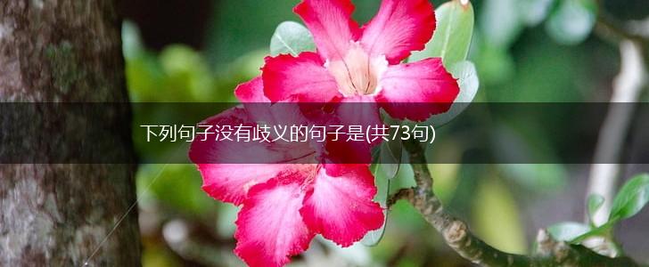 下列句子没有歧义的句子是(共73句),第1张