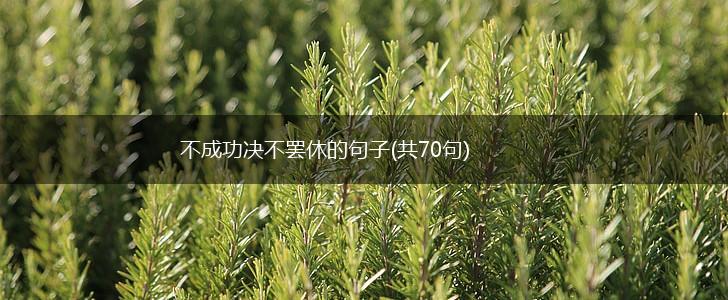 不成功决不罢休的句子(共70句),第1张