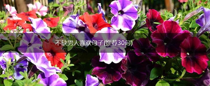 不缺男人喜欢句子(推荐30句),第1张