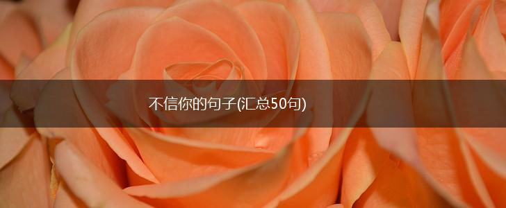 不信你的句子(汇总50句),第1张