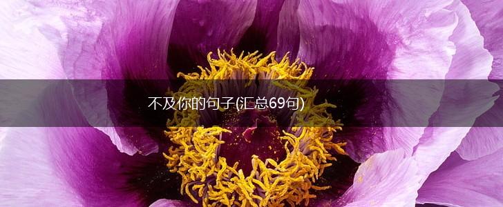 不及你的句子(汇总69句),第1张