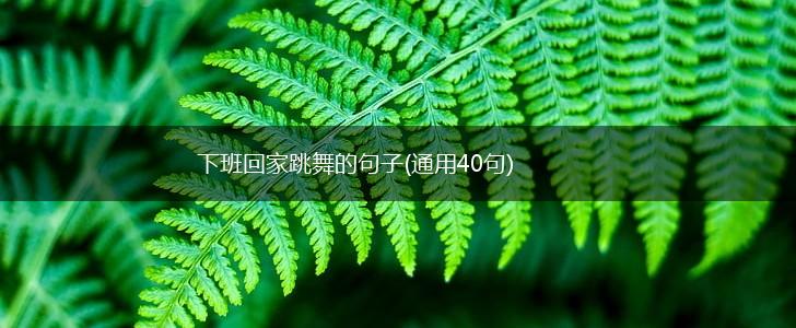 下班回家跳舞的句子(通用40句),第1张