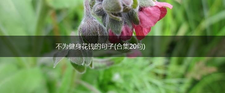 不为健身花钱的句子(合集20句),第1张