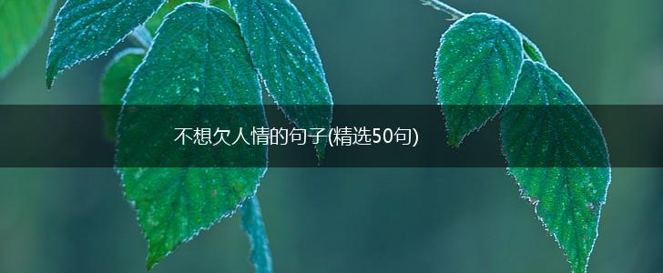 不想欠人情的句子(精选50句),第1张