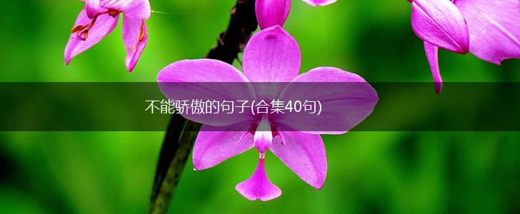 不能骄傲的句子(合集40句),第1张