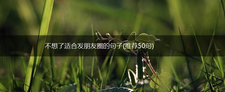 不想了适合发朋友圈的句子(推荐50句),第1张
