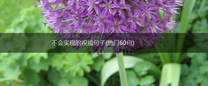 不会实现的祝福句子(热门60句),第1张