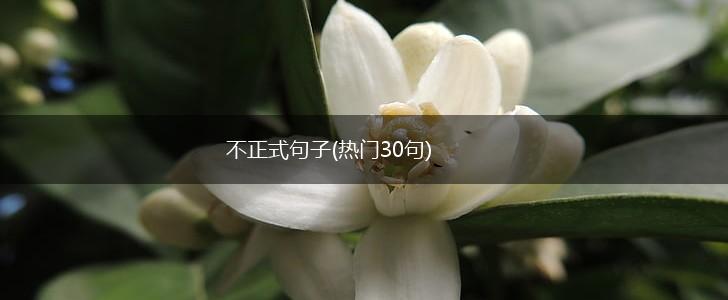 不正式句子(热门30句),第1张