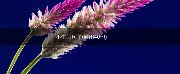 不生门句子(通用40句),第1张