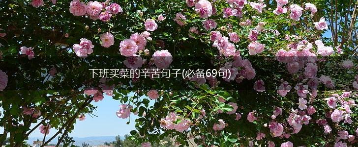 下班买菜的辛苦句子(必备69句),第1张