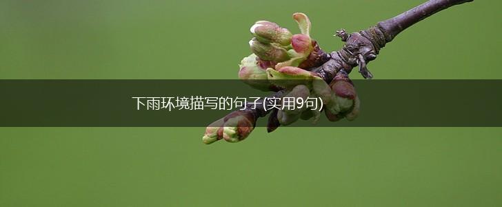 下雨环境描写的句子(实用9句),第1张