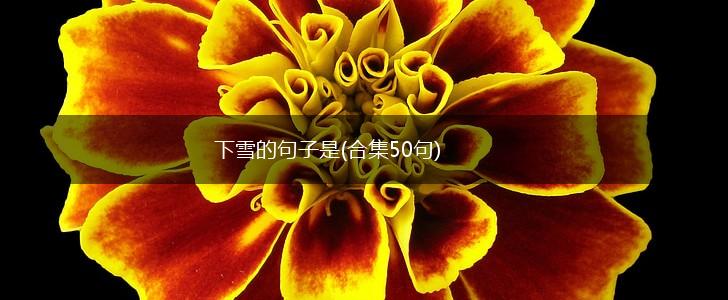 下雪的句子是(合集50句),第1张