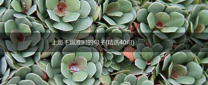 上班下班准时的句子(精选40句),第1张