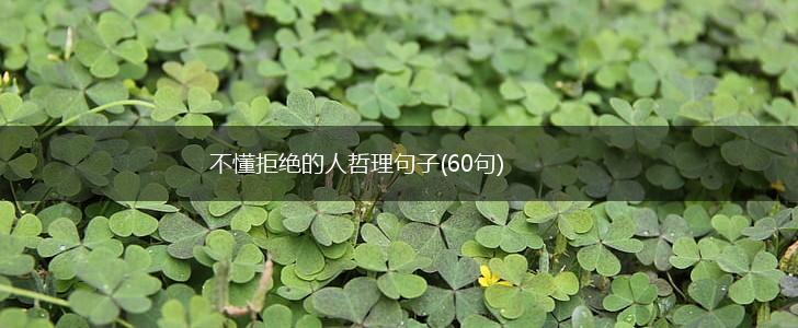 不懂拒绝的人哲理句子(60句),第1张