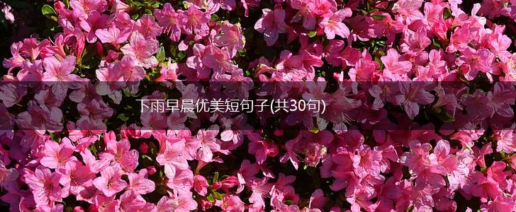 下雨早晨优美短句子(共30句),第1张