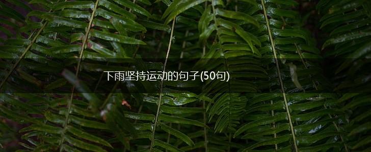 下雨坚持运动的句子(50句),第1张