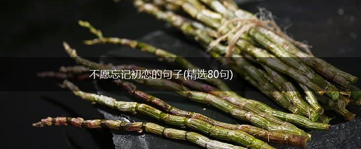 不愿忘记初恋的句子(精选80句),第1张
