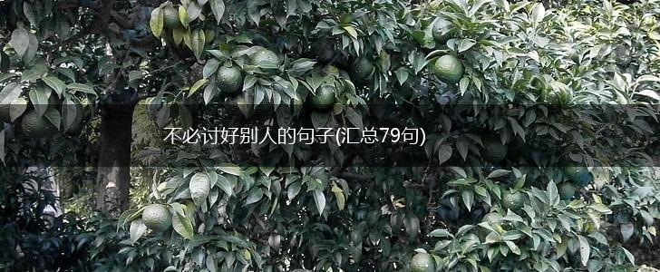 不必讨好别人的句子(汇总79句),第1张
