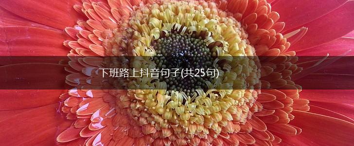 下班路上抖音句子(共25句),第1张