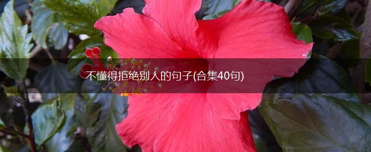 不懂得拒绝别人的句子(合集40句),第1张