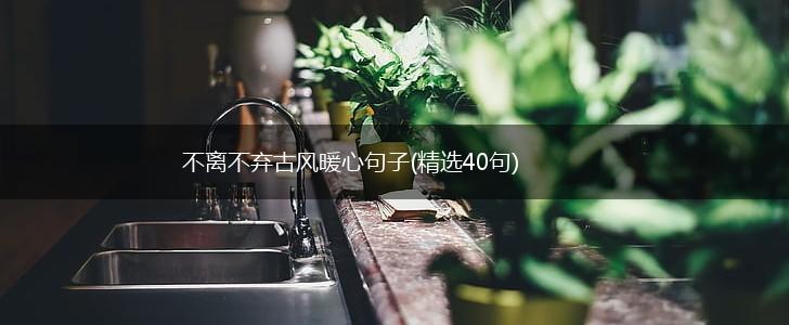 不离不弃古风暖心句子(精选40句),第1张