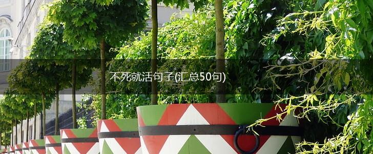 不死就活句子(汇总50句),第1张