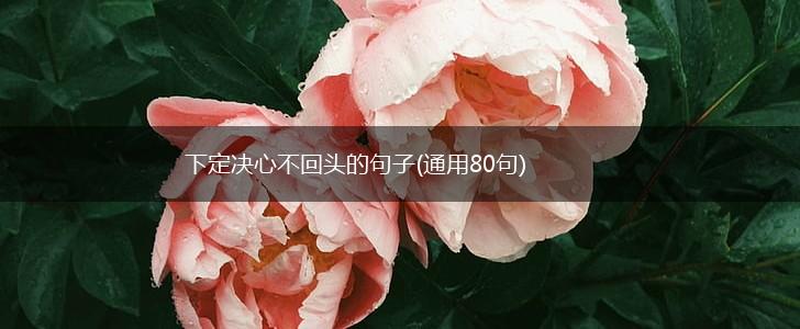 下定决心不回头的句子(通用80句),第1张