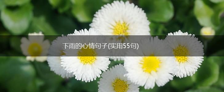 下雨的心情句子(实用55句),第1张