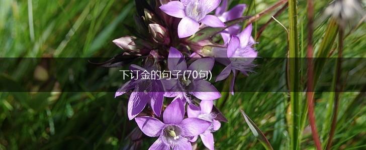 下订金的句子(70句),第1张