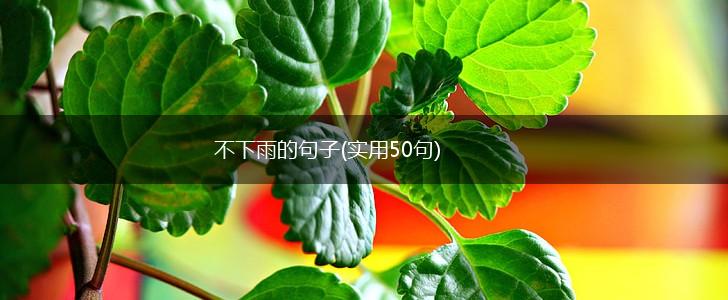 不下雨的句子(实用50句),第1张