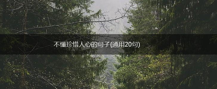 不懂珍惜人心的句子(通用20句),第1张