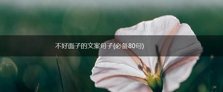 不好面子的文案句子(必备80句),第1张