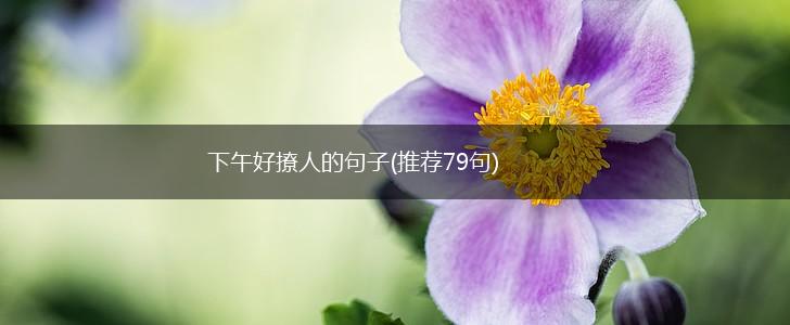 下午好撩人的句子(推荐79句),第1张