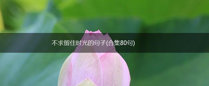 不求留住时光的句子(合集80句),第1张