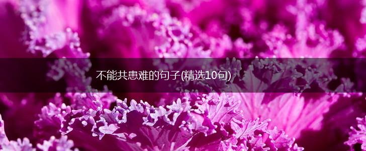 不能共患难的句子(精选10句),第1张