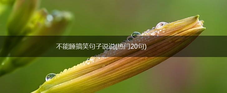 不能睡搞笑句子说说(热门20句),第1张
