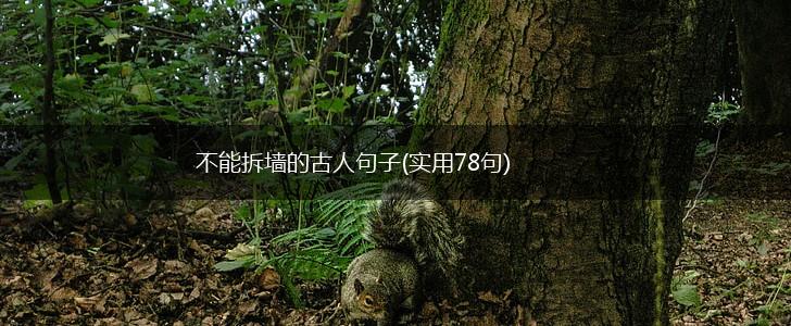 不能拆墙的古人句子(实用78句),第1张