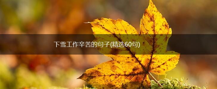 下雪工作辛苦的句子(精选60句),第1张