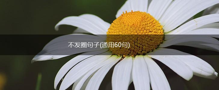 不发圈句子(通用60句),第1张