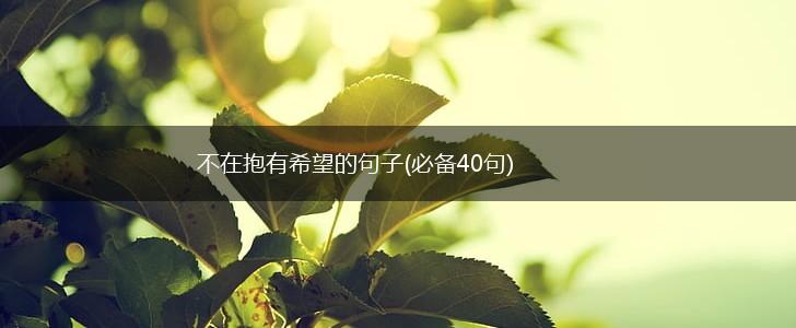 不在抱有希望的句子(必备40句),第1张
