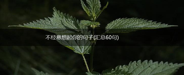 不经意想起你的句子(汇总60句),第1张