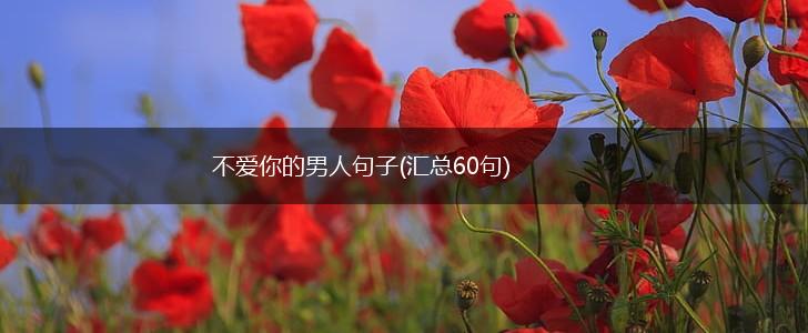 不爱你的男人句子(汇总60句),第1张