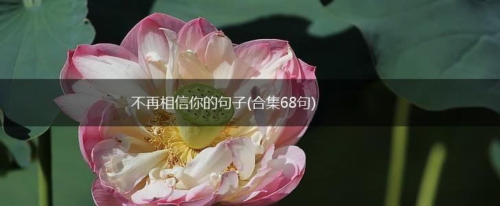 不再相信你的句子(合集68句),第1张