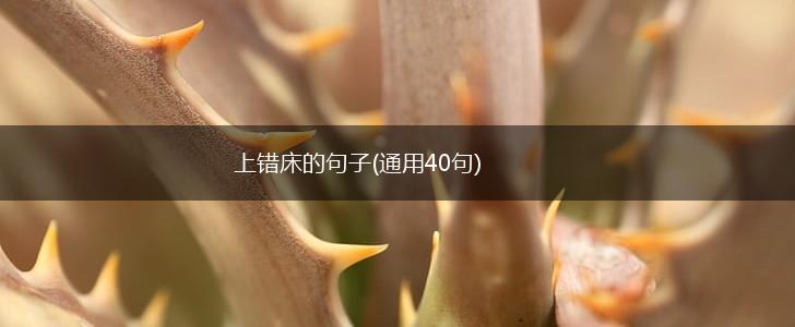 上错床的句子(通用40句),第1张